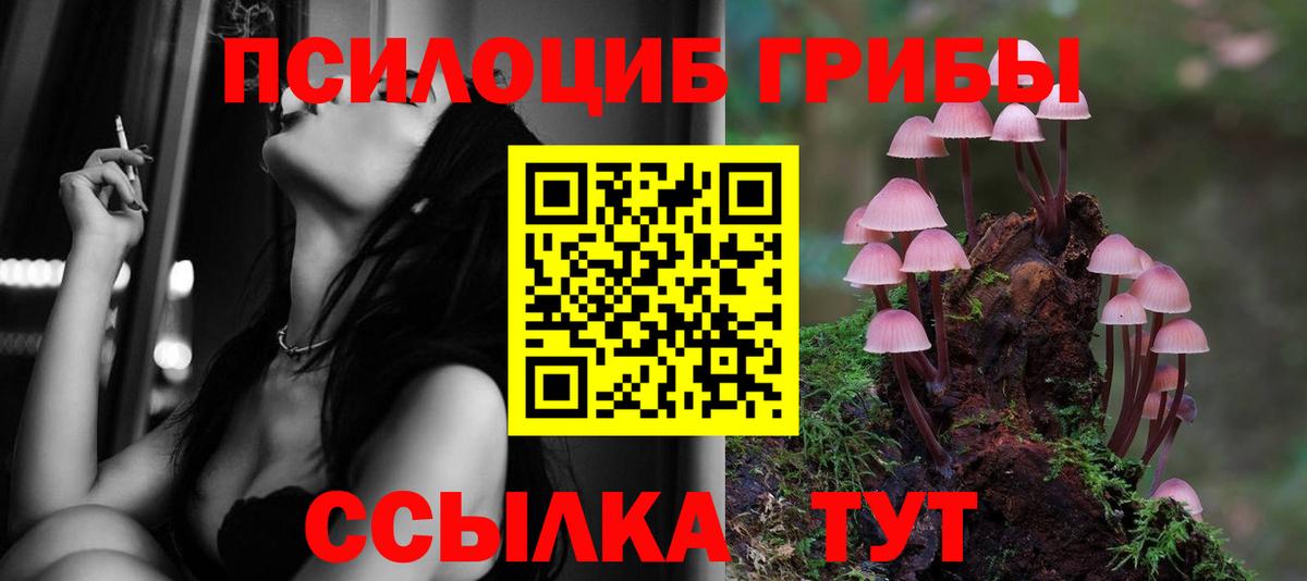 Ишимбай  Псилоцибиновые грибы GOLDEN TEACHER  Вход с VPN 